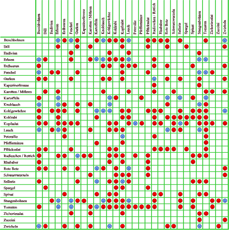 Pflanzenübersicht zur Mischkultur